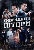 Гибридный шторм (2025)