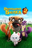 Реальная белка 2 (2017)