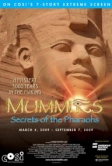 Мумии: Секреты фараонов 3D (2007)
